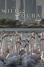 Poster Wild Dubai