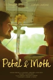 Petal and Moth (2019) Petal and Moth (2019)