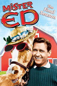 Mister Ed Season 6 4