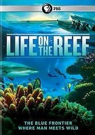 Life on the Reef poster