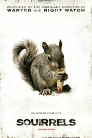 Poster Squirrels