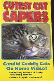 Poster Cutest Cat Capers