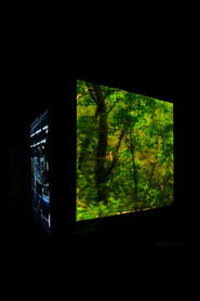 The Unjoy of Learning