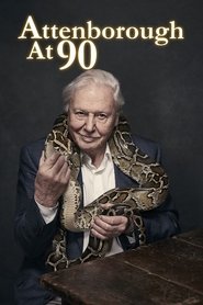 Attenborough at 90 streaming