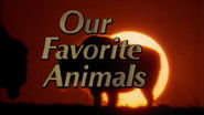 Our Favorite Animals