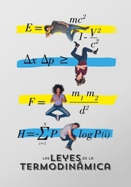 Die Gesetze der Thermodynamik