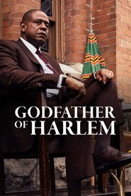 Godfather of Harlem (2019)