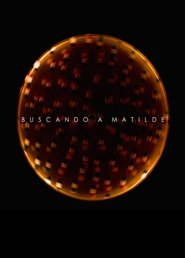 Poster Looking for Matilde 2013