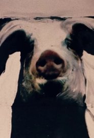 Poster The Trail of the Pig 1993