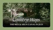 The Wey & Arun Canal in July