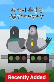 Ddusik: Special – Glad To Be a Pigeon