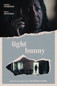 Light Bunny (2025)