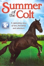 Summer of the Colt постер