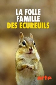 La Folle Famille des écureuils streaming