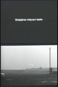 Poster Flying Over the Blue Fields 1996
