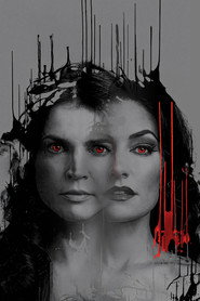 Witches of East End poster