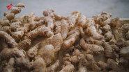 Odcinek 5