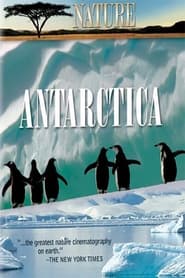 Poster Under Antarctic Ice