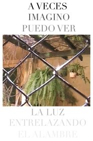 At Times I Imagine Seeing The Light  Reflect Upon The Wire (1970)