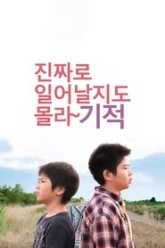 진짜로 일어날지도 몰라 기적 (2011)