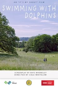 Poster Swimming With Dolphins 2021