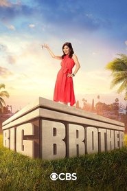 Big Brother Season 23