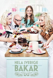 Hela Sverige bakar постер