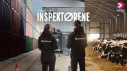 Inspectors Watch Movies and TV Shows Streaming