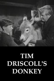 Poster Tim Driscoll's Donkey 1955