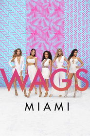 WAGS Miami poster