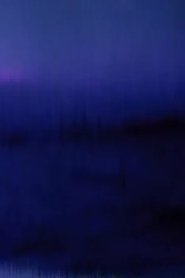 The Collapse of PAL (2011)