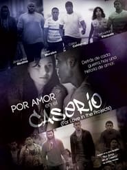 Por amor en el caserio постер