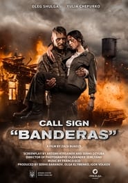 Call Sign Banderas (2018) Hindi Dubbed