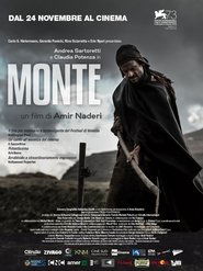 Poster Mountain 2016