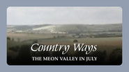 The Meon Valley in July