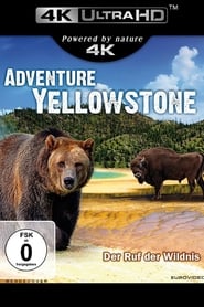 Poster Adventure Yellowstone - Der Ruf der Wildnis