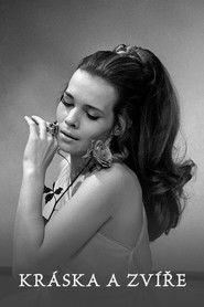 Kr&aacute;ska a zv&iacute;ře (1972)