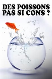 Des poissons, pas si cons ?