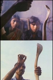 Poster Serpent Mother 1985