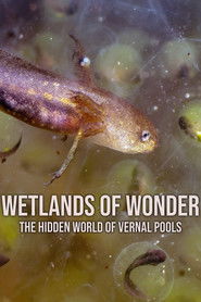 Wetlands of Wonder: The Hidden World of Vernal Pools