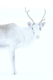 Spirit of the Reindeer (2019)