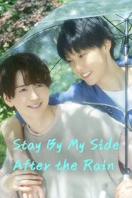 Stay By My Side After the Rain (2025)