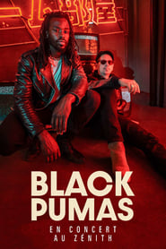 Poster Black Pumas en concert au Zénith de Paris