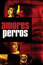 Amores Perros (2000)