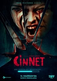 Cinnet 2019