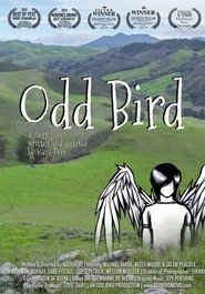 Poster Odd Bird 2019