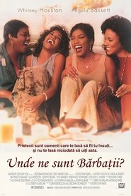 Waiting to Exhale (1995)