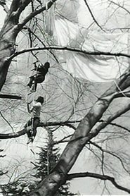 Poster Tree Dance 1971