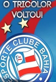 Poster O Tricolor Voltou 2011