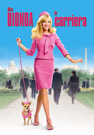 Poster Una bionda in carriera 2003